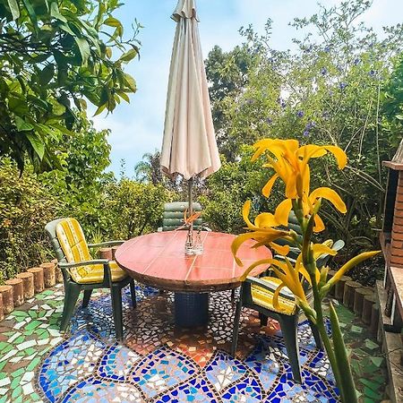 לה אורוטבה Canarian Cottage With Terrace Surrounded By Garden - Alisios מראה חיצוני תמונה