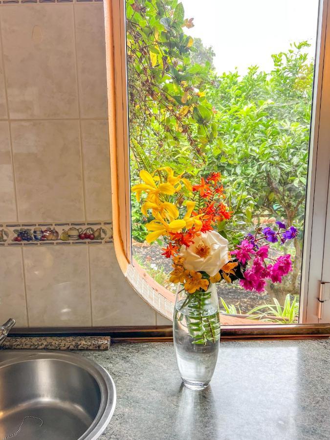 לה אורוטבה Canarian Cottage With Terrace Surrounded By Garden - Alisios מראה חיצוני תמונה