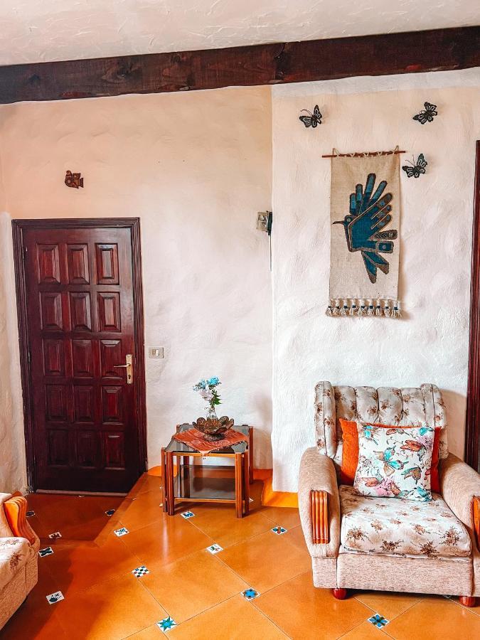 לה אורוטבה Canarian Cottage With Terrace Surrounded By Garden - Alisios מראה חיצוני תמונה
