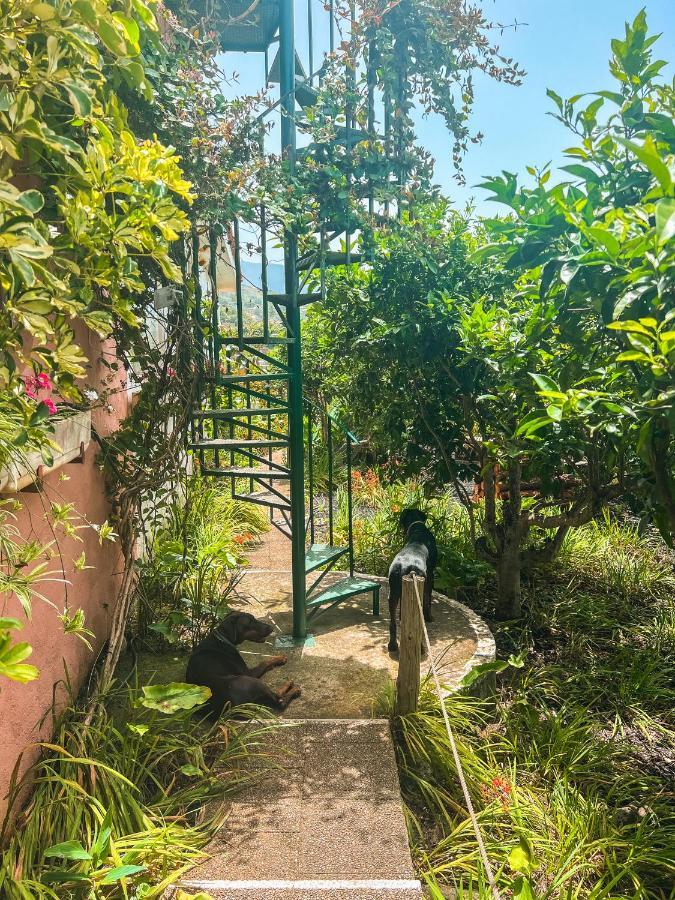 לה אורוטבה Canarian Cottage With Terrace Surrounded By Garden - Alisios מראה חיצוני תמונה