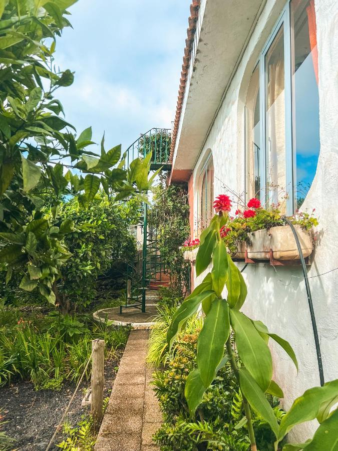 לה אורוטבה Canarian Cottage With Terrace Surrounded By Garden - Alisios מראה חיצוני תמונה