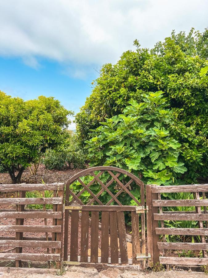 לה אורוטבה Canarian Cottage With Terrace Surrounded By Garden - Alisios מראה חיצוני תמונה